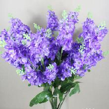 养护紫罗兰：像疼爱孩子一样， 用心呵护