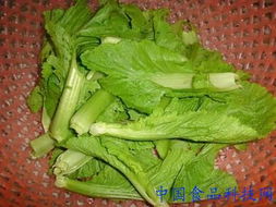 十字花科蔬菜种类繁多，你选对了吗