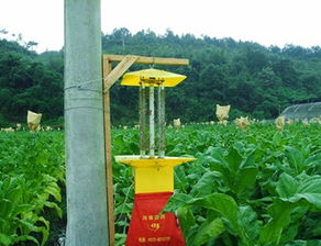 生物防治，绿色环保的选择