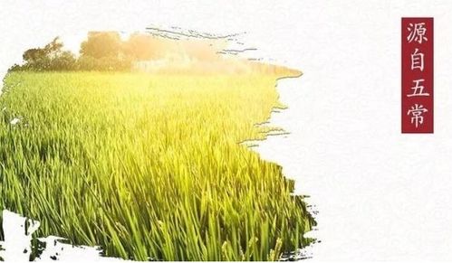 光照是农业养殖中不可或缺的生态要素