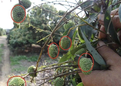 低端货烂大街， 精品货才有出路