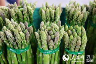 “我国哪些地区是芦笋的主要产地，有哪些优质产地值得推荐