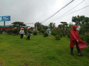 绿篱施肥：秋天的守护神