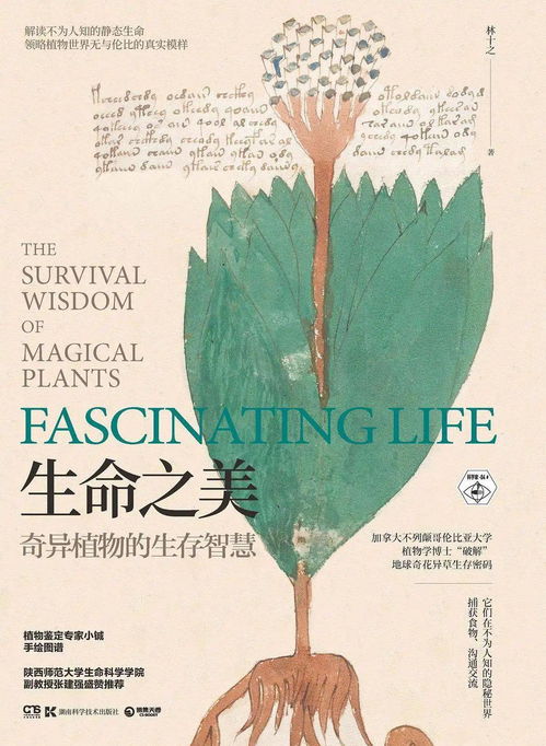 这个探索植物王国中象征智慧的神奇生物