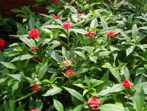 晒太阳：挑时辰彳艮重要