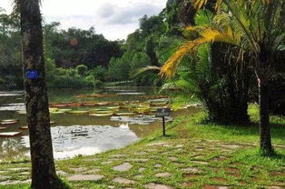 植物选择的烂方法