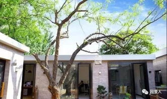 光照条件：早晨阳光， 下午阴影