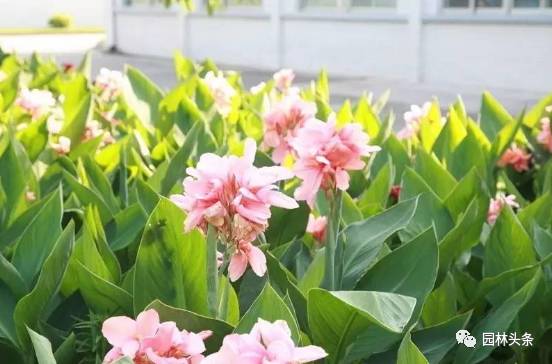 具体来讲有以下几点：