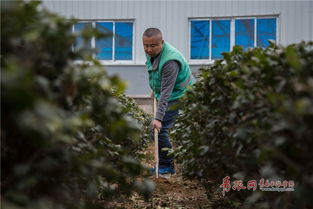 冬季浇水与肥料