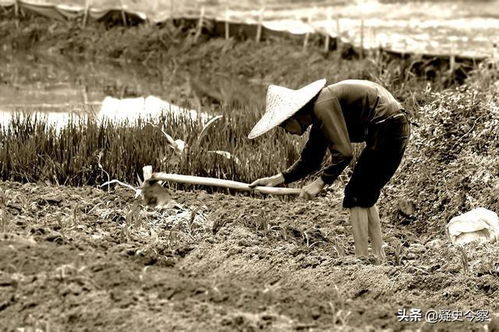 立竿见影， 效果显著