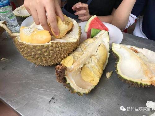榴莲肉多少钱一斤？看这里