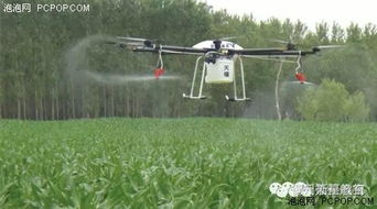 喷洒农药的利与弊