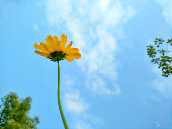 数据库大， 识别准，知识全