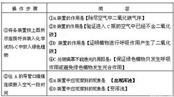 探索绿色守护者的学科印记