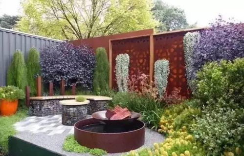 新手布置庭院的植物选择