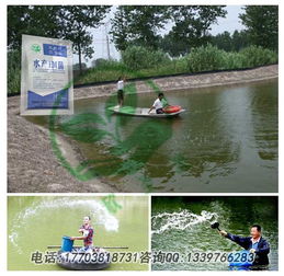 鱼塘水变黑褐色是什么原因导致的严重问题？