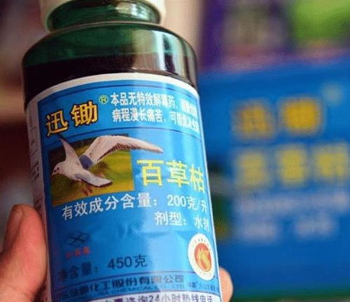 一、 百草枯：那个让人谈之色变的农药