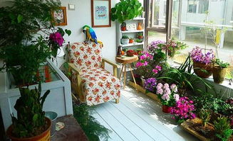 阳台小空间，养护时间短，吊盆花来帮忙！