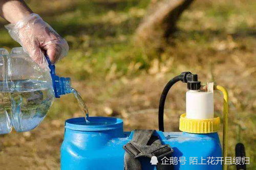 性价比高的推荐：寻找那颗璀璨的明珠