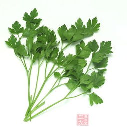 倒挂金钟花的食用方法