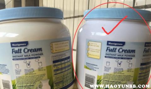 蓝甘菊：自然的疗愈之花