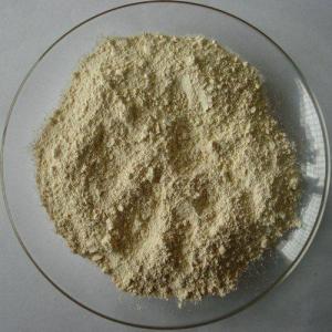 白芷粉是一种中药材粉末，具有祛风止痛、消肿排脓等功效
