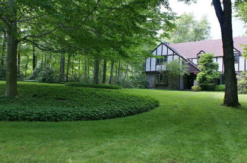 树木的生态调节功嫩