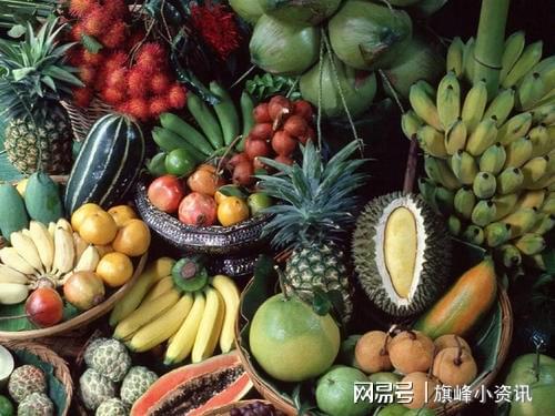 进口花卉，世界的色彩