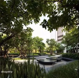 绿化用花卉的富贵寓意