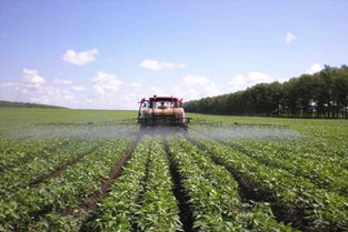 化肥，那可是庄稼的粮食啊！