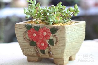 塑料花盆的多样性