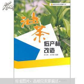 油茶树高效种植与低产林升级技术指南