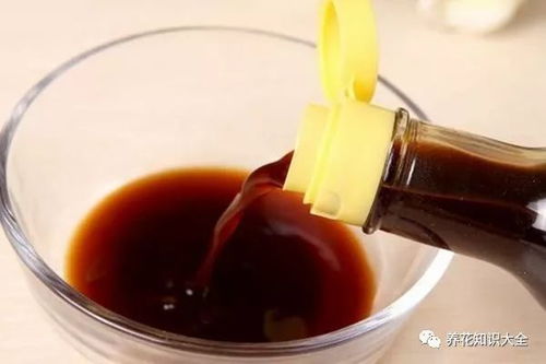 用红糖0.5千克,食醋1千克加水10千克混合搅拌