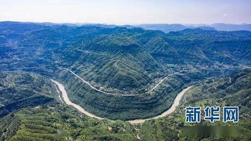 生态修复成本补偿保险， 包头试点引关注