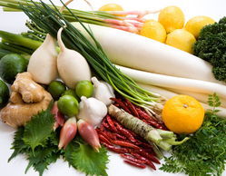 果岭草：四季常青的秘密