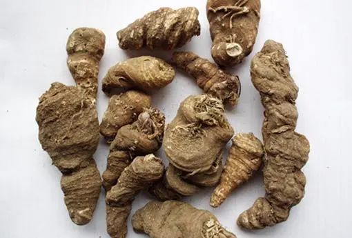 重楼籽晒干那些事儿， 就像带孩子一样费心