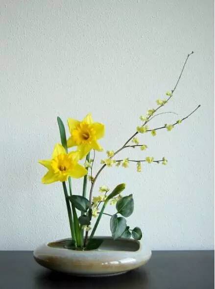 “清新雅致，幸福满溢——桅子花爆款花语”