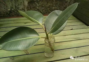 泡多久？这得kan具体情况