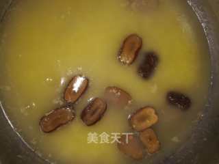 水质改良的重要性