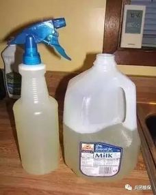 乳油农药的物理性状