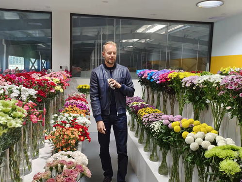 昆明花卉生产基地大揭秘