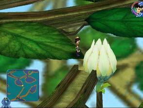 移植的光照：光照骗局