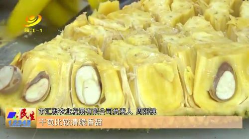 菠萝蜜种子怎么种？种植方法有哪些