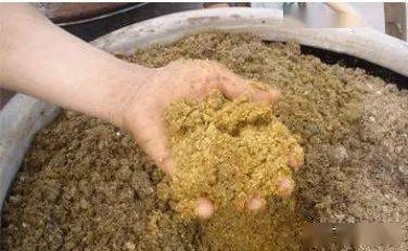 加盐对发酵饲料的发酵过程有怎样的影响？