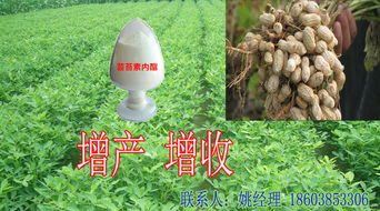 芸苔素混甲维盐真的既能杀虫又能壮苗吗？老农实测数据能信吗？