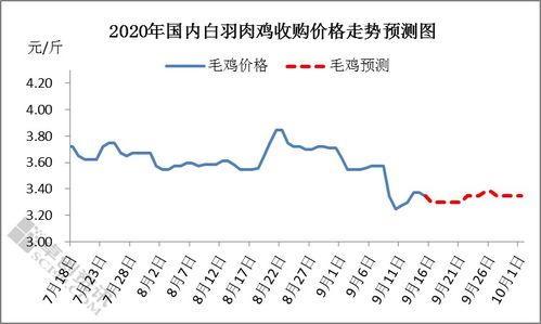 鸡价暴跌，养殖户纷纷空栏观望