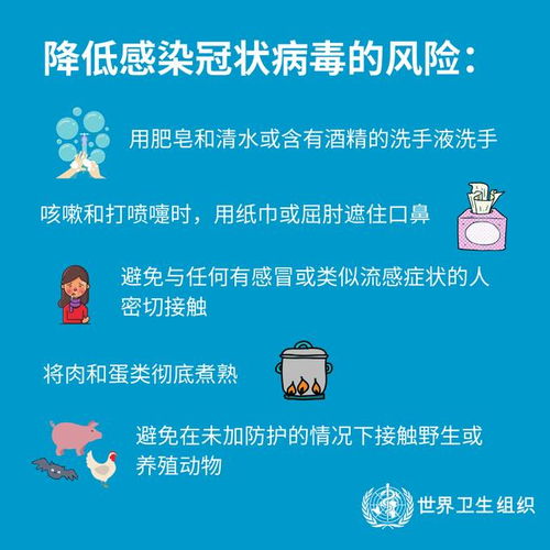 秋季鸡呼吸道疾病预防与控制策略
