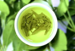 绿茶中的抗氧化成分有哪些？这几点你一定要知道