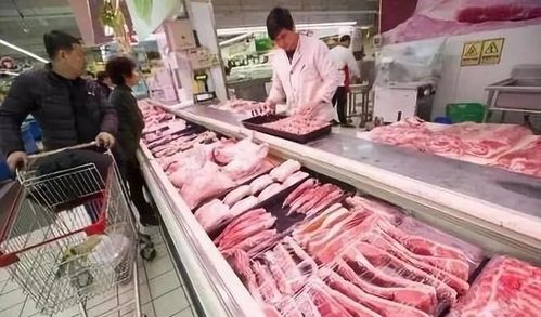 注水猪肉揭秘：百斤肉增水十斤