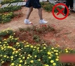 树木成长与阳光的关系